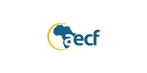 Venture Builder - Business Growth Consultant, AECF (Benin, Burkina Faso ...