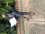 Jobseeker Photo