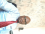 Jobseeker Photo